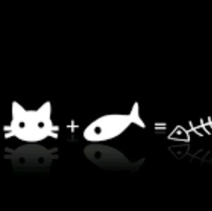 Meet your Posher, Taryn